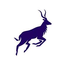 Nyala icon